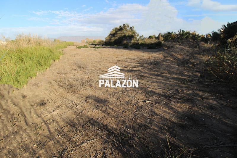 Foto 5e213437-ef2b-4913-ae82-4521ba59fe1f. Finca rústica a Catral