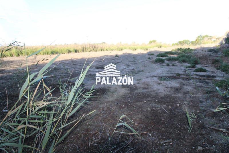 Foto 8d955499-787b-4a3a-9206-77d4eb32b3ef. Finca rústica a Catral