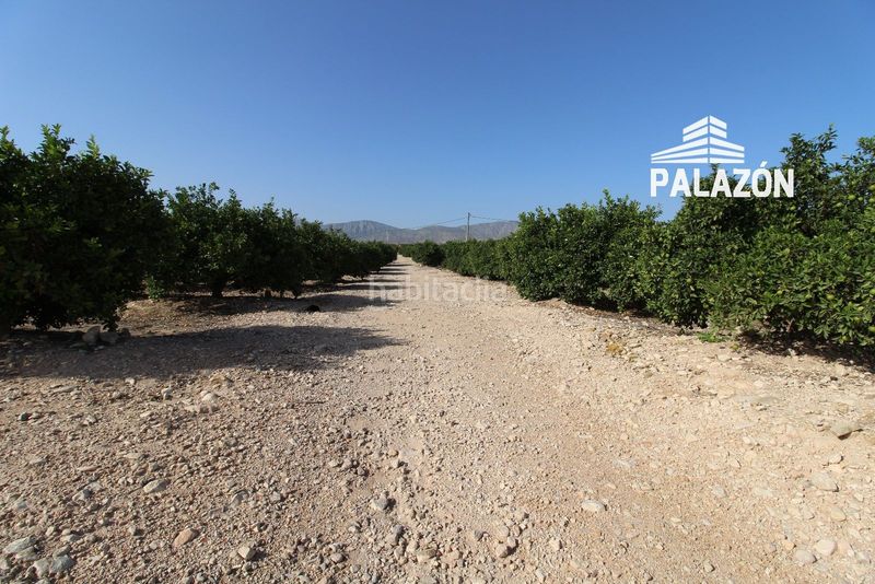 Foto 9f01f8be-3e5a-476a-91c9-48768a35bde4. Finca rústica a Crevillente
