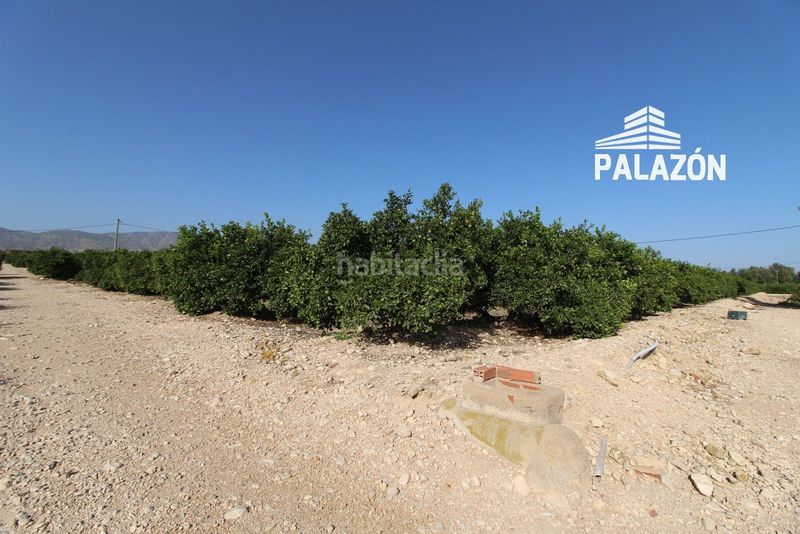 Foto f1ebc285-20a2-4da6-85fe-42c79b180411. Finca rústica a Crevillente