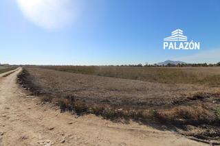 Finca rústica a San Isidro. Finca de cultivo en venta en san isidro alicante