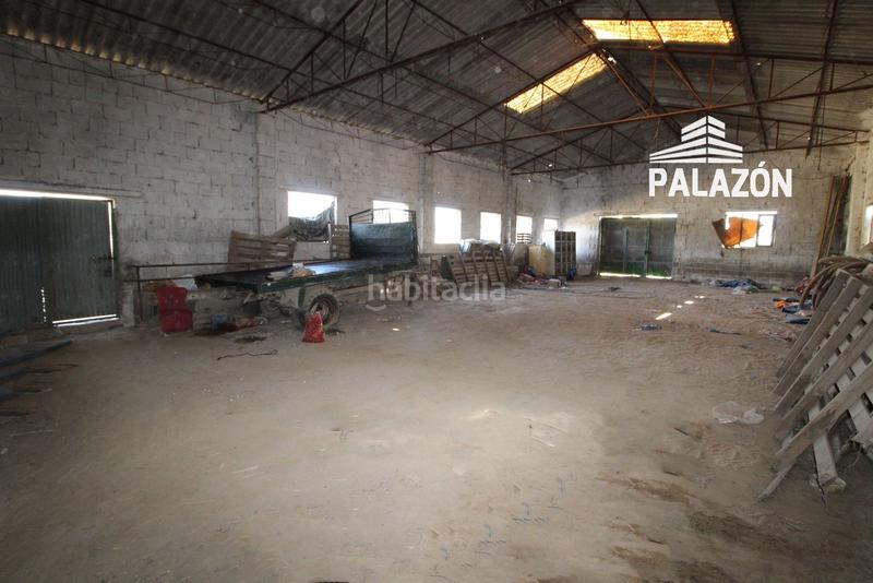 Foto 34aa60e3-39f6-4f6a-97b6-61ef49f58139. Propriété dans Crevillente