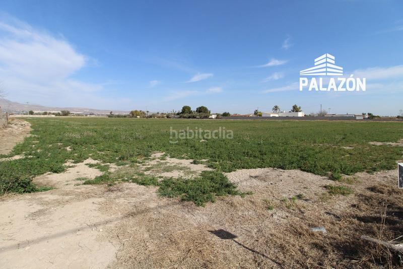 Foto 835c1706-10e4-4d4f-a575-801049159244. Propriété dans Crevillente