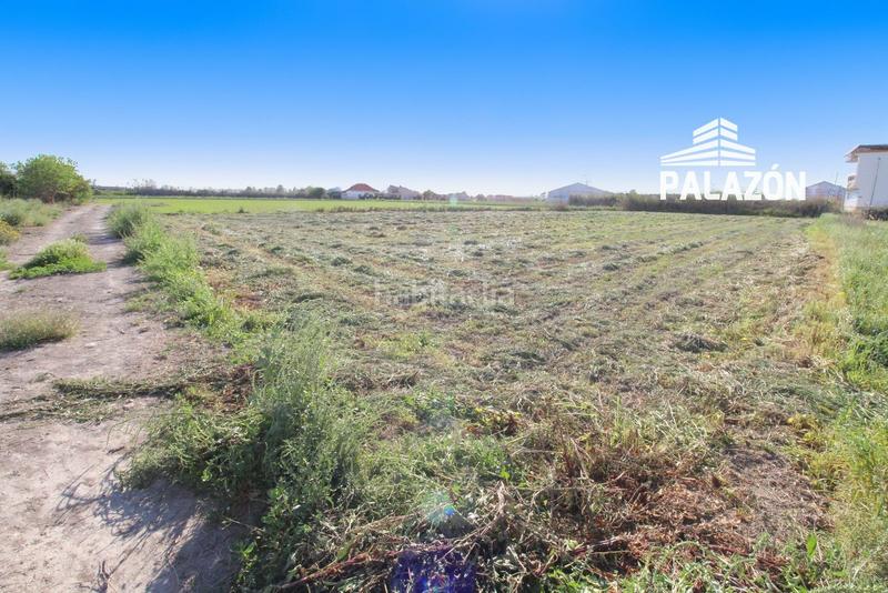 Foto a4b3e5bf-3188-40cf-9e1a-4288400a3bdb. Finca rústica terreno en venta alicante en Dolores