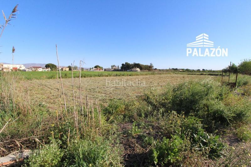 Foto a5d850cc-8c7e-49e3-a5cb-1b3ff077b27f. Finca rústica terreno en venta alicante en Dolores