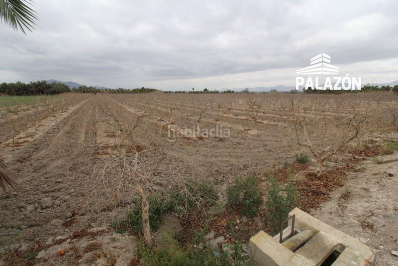 Foto 0394827d-96a1-457a-a450-9eb49c48b461. Finca rústica a Crevillente