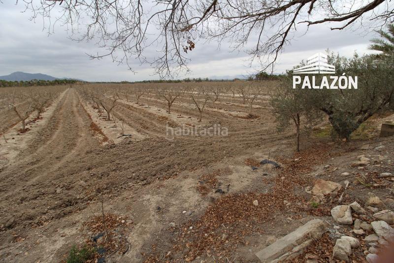 Foto a7777909-9bee-40be-b591-e2a4dafb6112. Finca rústica a Crevillente