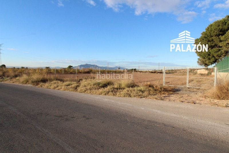 Foto 110c29a7-eee0-444d-81ea-0e99c0e9aaa1. Finca rústica a Crevillente