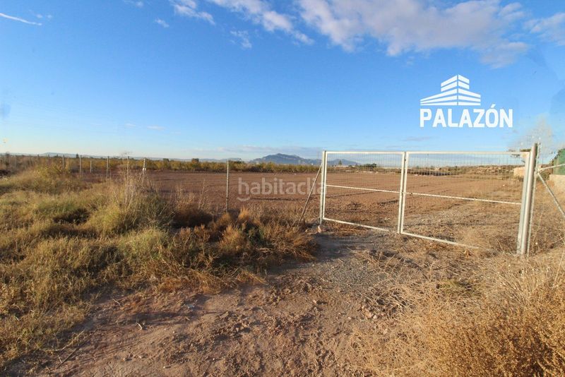 Foto 76e56232-f4be-4635-ace1-7931cf856842. Finca rústica a Crevillente