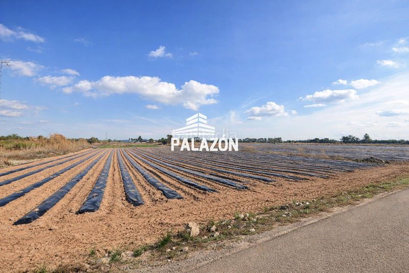 Foto 1a19f5eb-a8fe-4f86-ae82-3d902752a606. Finca rústica a Crevillente