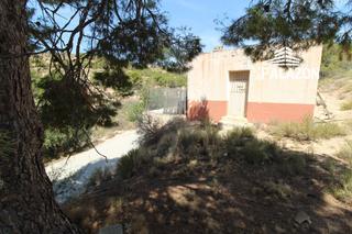 Masia a Crevillente. Casa de campo en venta en crevillente alicante