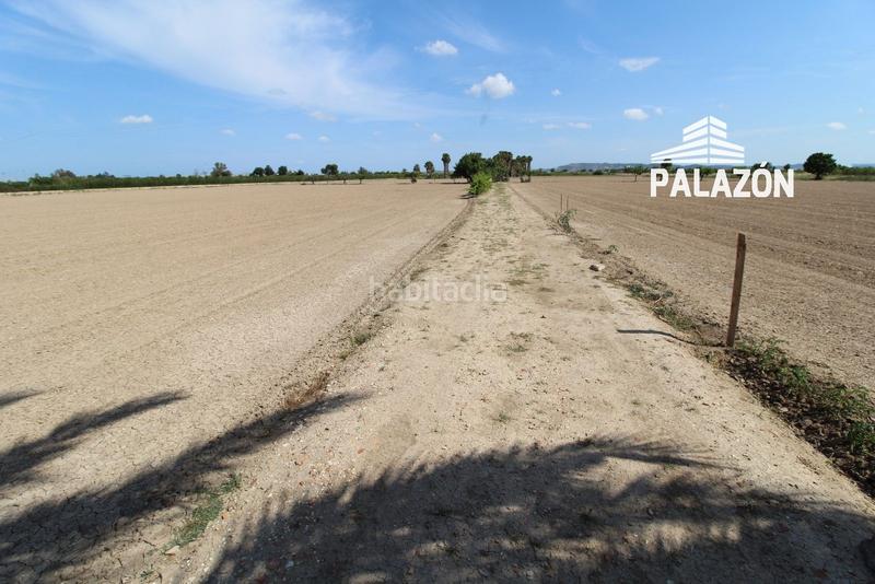 Foto 0f14fd86-8f2f-449d-be38-9cec95d9feaf. Rural plot in Callosa de Segura