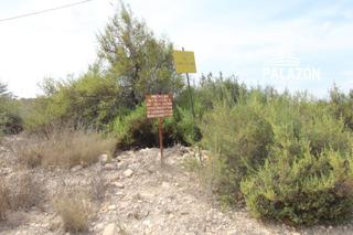 Fondo rustico in Crevillente. Finca rústica en venta en crevillente alicante