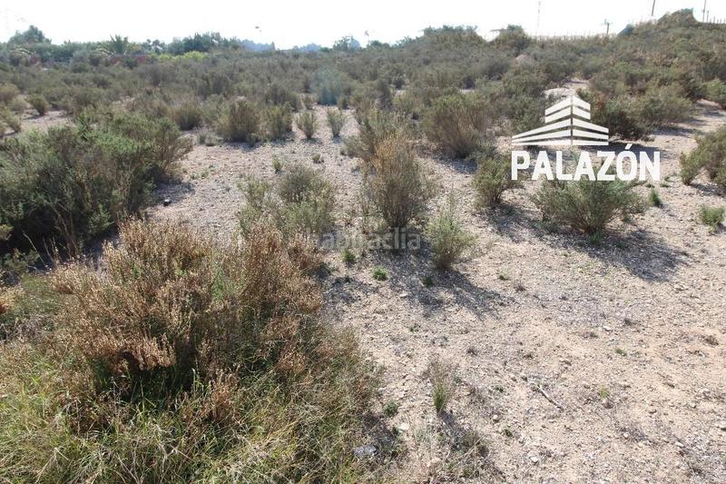 Foto 35655544-ce55-480f-aeb4-b37d04f2c681. Finca rústica a Crevillente