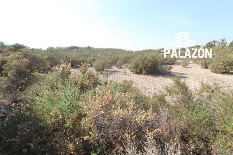 Foto 3b778ccc-7c2f-4bea-b894-390370a80bd6. Finca rústica a Crevillente