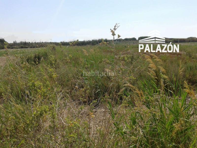 Foto 6b19efdc-409a-49c0-a624-a5b6ebc4dfb5. Fondo rustico in Crevillente