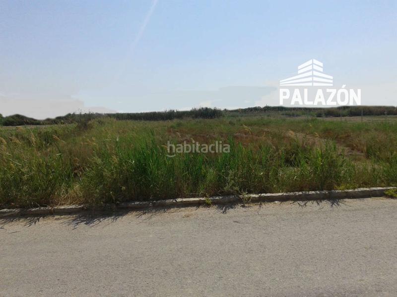 Foto c31afbfe-e207-46d8-945a-283016ab78b9. Fondo rustico in Crevillente