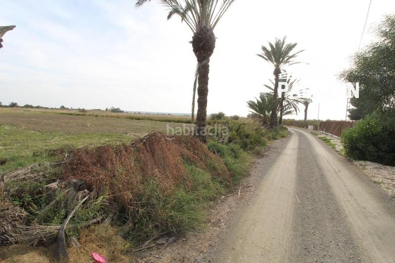 Foto 0537521a-b853-46fe-8f2f-c46ad2a3bea1. Finca rústica a La Foia - Daimés - Asprella Elche / Elx