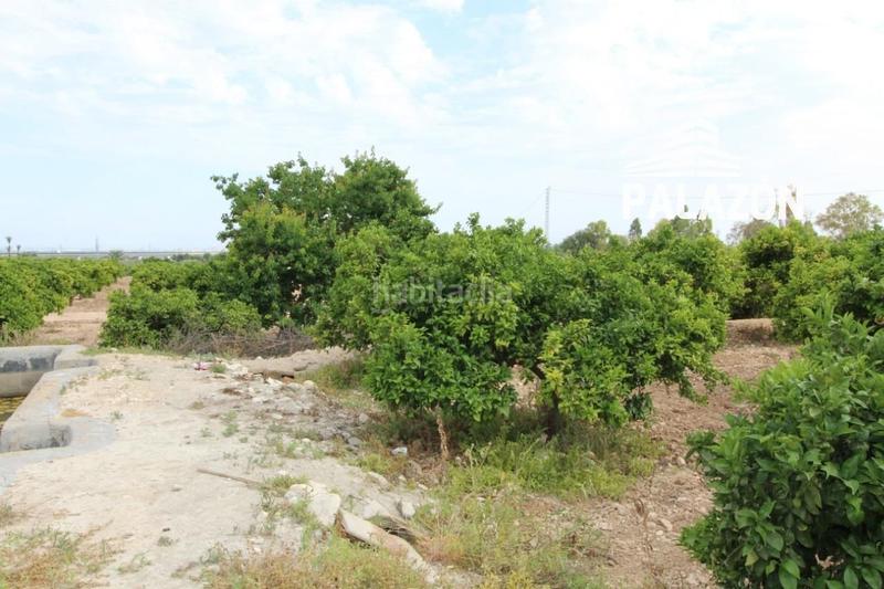 Foto a52f5f82-75b4-4739-a5eb-645823d0964b. Propriété dans Crevillente