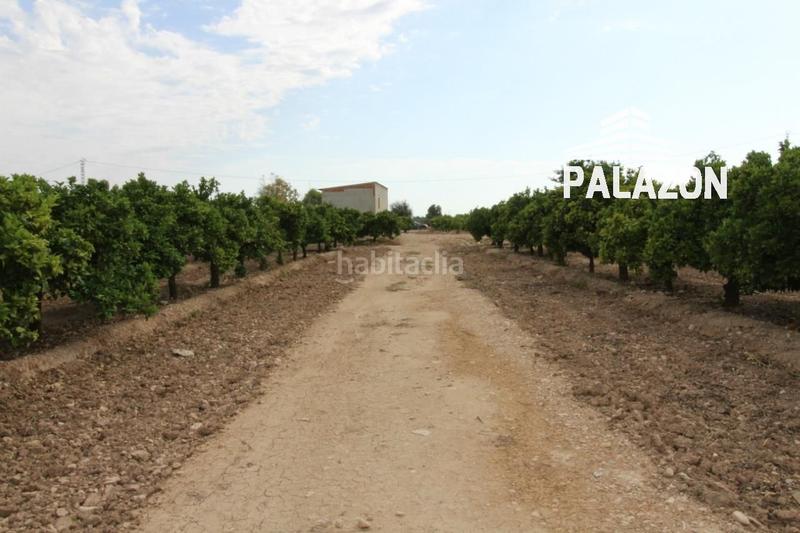 Foto cc394f7d-a1eb-4e9f-8a9d-600cdfa87dbd. Propriété dans Crevillente