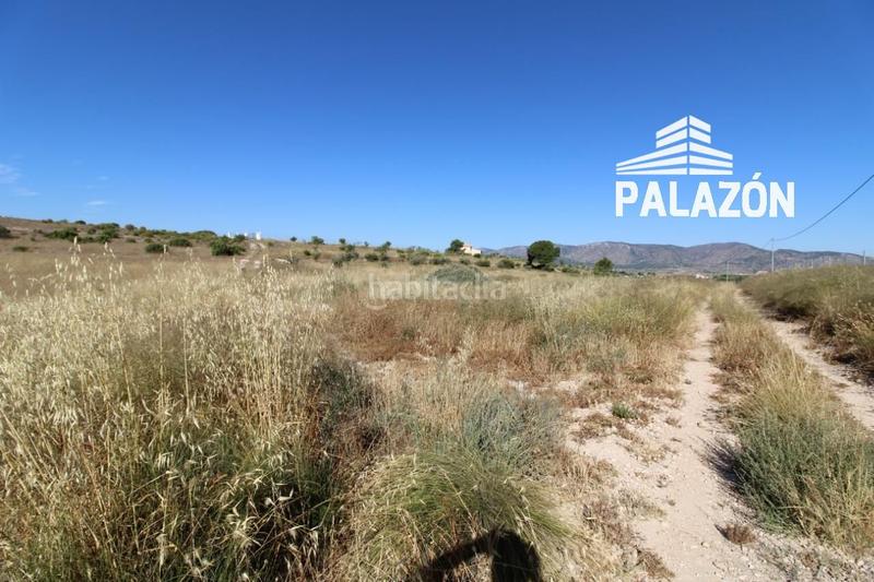 Foto 4cddb718-0bc7-4b2c-99ba-6cda8ccc9cc1. Finca rústica a Salinas