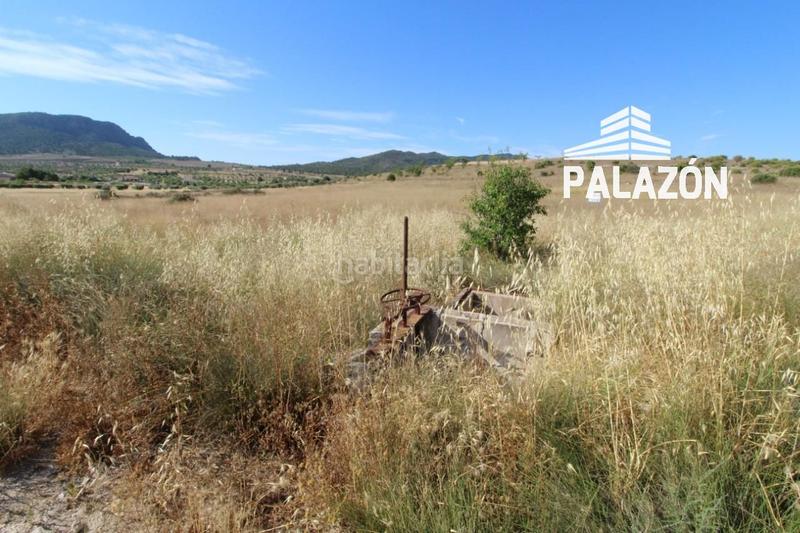 Foto 75de6c70-a80d-4b6d-9246-6bb96742ba06. Finca rústica a Salinas