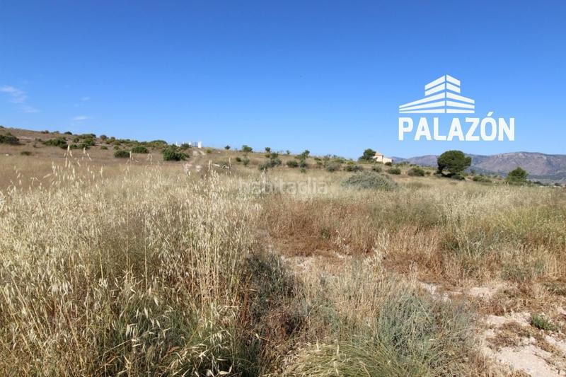 Foto 8a8fcf73-2448-4bfe-b12e-e45fc5ca5657. Finca rústica a Salinas