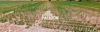 Fondo rustico in Callosa de Segura. Finca de cultivo en venta en callosa de segura alicante