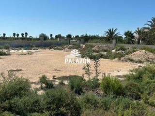Fondo rustico in Catral. Parcela rústica en venta en catral alicante