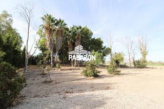 Finca rústica en Crevillente. Finca rústica en venta para recreo en catral alicante