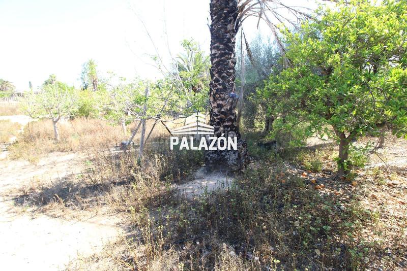 Foto 12c29c6e-0896-4a9e-a853-e2b2a1a03b78. Mas dans La Algoda - Matola - Llano de San José Elche / Elx