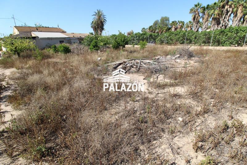 Foto 3a1b21c0-600f-4bb8-ad34-655a65a4ecb5. Mas dans La Algoda - Matola - Llano de San José Elche / Elx