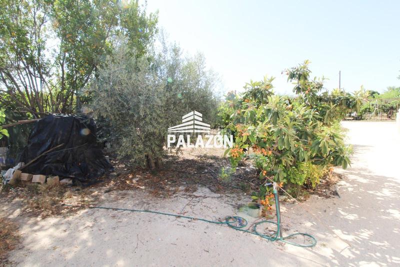 Foto fa3519cf-28c2-448f-87e0-71b254fada5d. Mas dans La Algoda - Matola - Llano de San José Elche / Elx