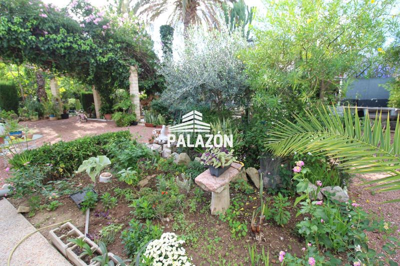 Foto 222afd06-062d-4ccd-8831-b4bd63cde1ce. Masía casa de campo en venta alicante en Crevillente