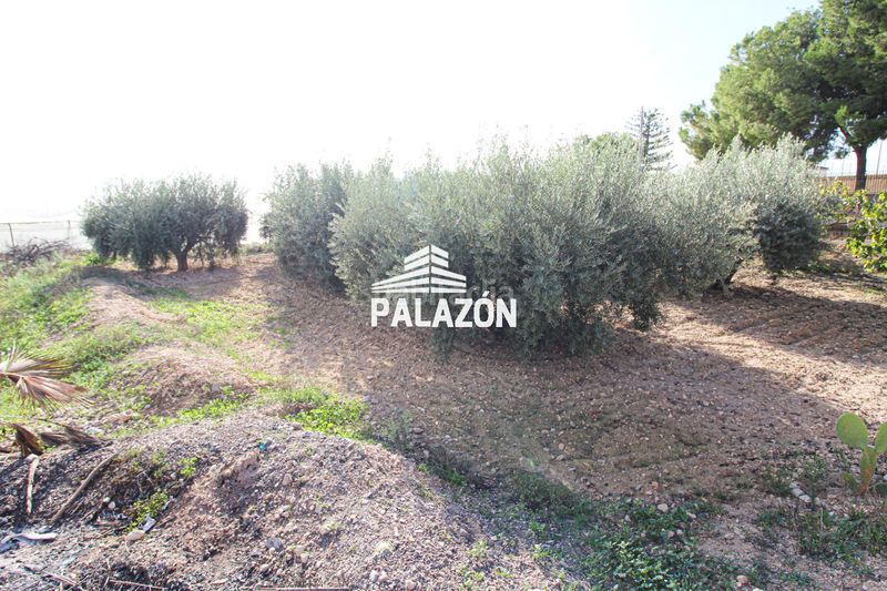 Foto 4ecf5da0-d6be-49ba-b366-2dc17f69025b. Masía casa de campo en venta alicante en Crevillente