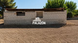 Finca rústica a Dolores. Finca rústica en venta en dolores alicante