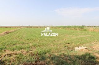 Fondo rustico  Las casicas. Finca rústica en venta cerca de catral alicante