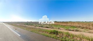 Finca rústica  N/a. Finca rústica en venta en catral alicante