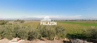 Finca rústica  Las casicas. Finca rústica en venta en catral alicante