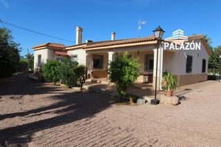 Xalet a Crevillente. Chalet en venta en crevillente alicante