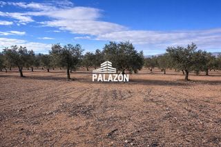 Fondo rustico  N/a. Finca en venta en caudete albacete