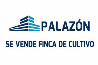 Landgut in La Algoda - Matola - Llano de San José. Finca de cultivo en venta en crevillente alicante
