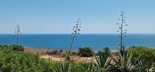 Casa adossada en Avinguda d'escandinvia 63. Primera lnea en  el faro