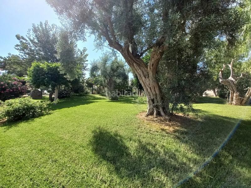 Foto 6669f98a-5e8a-4349-9f38-9352c09be5bb. Piccolo appartamento in avinguda del mediterrani 68 in Santa Pola