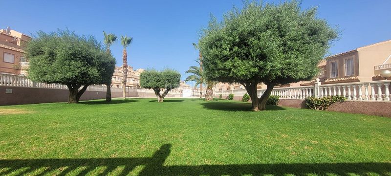 Foto ad817f21-d486-4103-828d-0308faae5d82. Apartament amb piscina a Monte y Mar Santa Pola