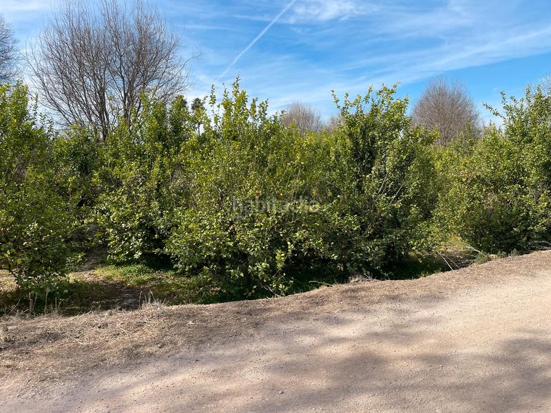 Foto 182b5de1-a5b5-426f-8a06-52f4ada6200b. Rural plot in La Ñora Murcia