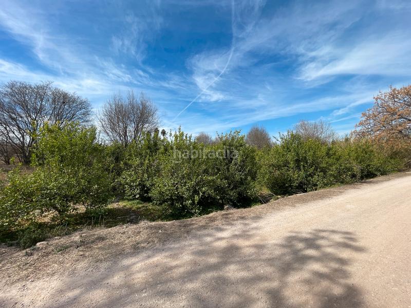 Foto 2ad8611a-ee7c-488f-b51d-7358ba2972c3. Rural plot in La Ñora Murcia