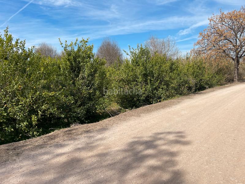 Foto 44912115-5716-46a7-b93b-d1debd0eade4. Rural plot in La Ñora Murcia