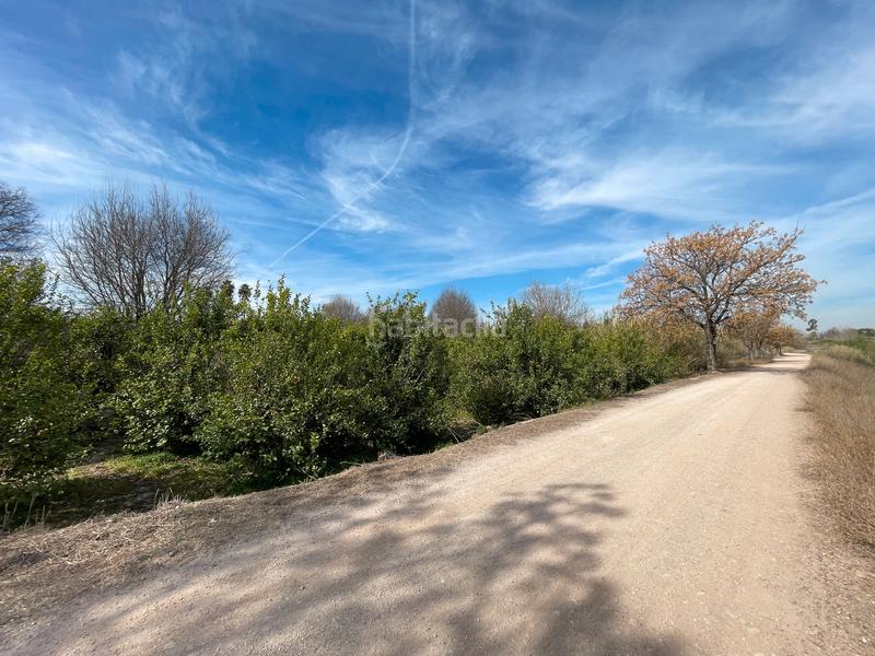 Foto fc1c766e-e37f-42bf-a226-693c3d3475c2. Rural plot in La Ñora Murcia