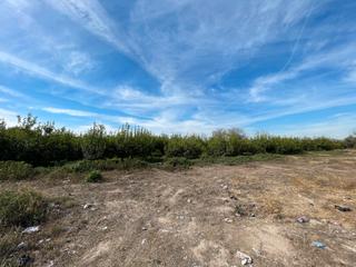 Finca rústica en N/a. Parcela de 7 tahullas, en la orilla de la carretera a javali vie